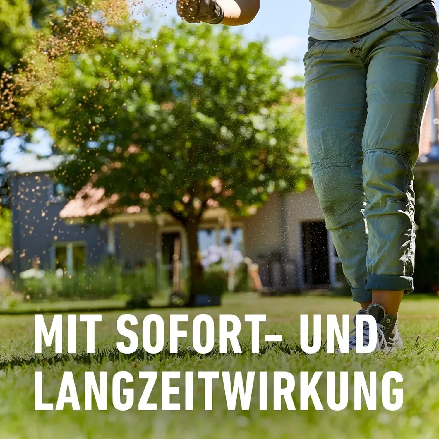 Compo BIO Rasendnger 20 kg kaufen bei OBI