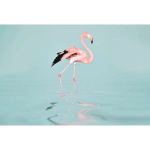 Fototapete mit Flamingo in Rosa, Blau und Schwarz, 4,00 m x 2,70 m, FSC®-zertifiziert.