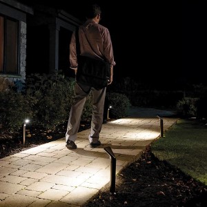 Mr. Beams LED-Wegeleuchten im 2er-Pack beleuchten einen Gartenweg bei Nacht.