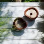 Elho Vogelhaus Organic, 25 cm, braun-weiß, aus recyceltem Kunststoff, für Garten und Balkon.