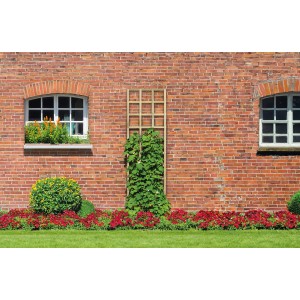 Rechteckiges, kesseldruckimprägniertes Rankgitter (60x180cm) an einer Backsteinmauer mit Kletterpflanze.