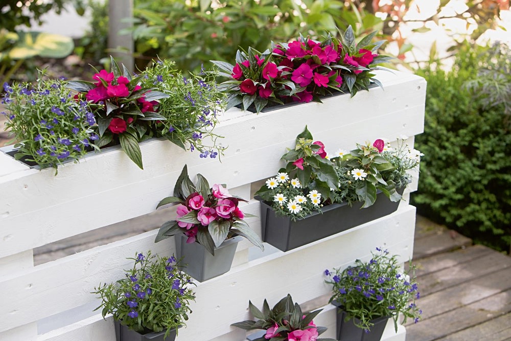 Geli Pflanzgefäß für Europaletten Easy 37 cm x 13,5 cm x 10 cm