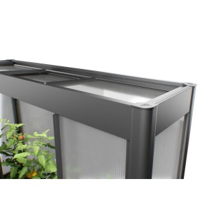 Modernes Gewächshaus Florentina mini in Dunkelgrau mit transparenten Wänden und Pflanzen. Ideal für den Garten.