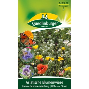 Quedlinburger Asiatische Blumenwiese: Samen für eine bunte, niedrige Sommerblumenmischung.