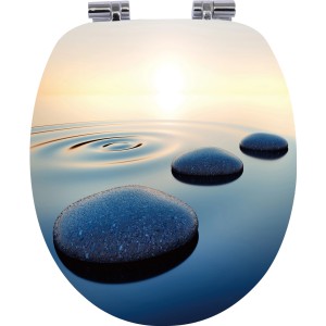 WC-Sitz Iguasi mit Steine im Wasser Motiv und Absenkautomatik.