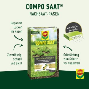 Compo Saat Rasen-Nachsaat 1kg: Packung Rasensamen zur Reparatur von Rasenflächen.