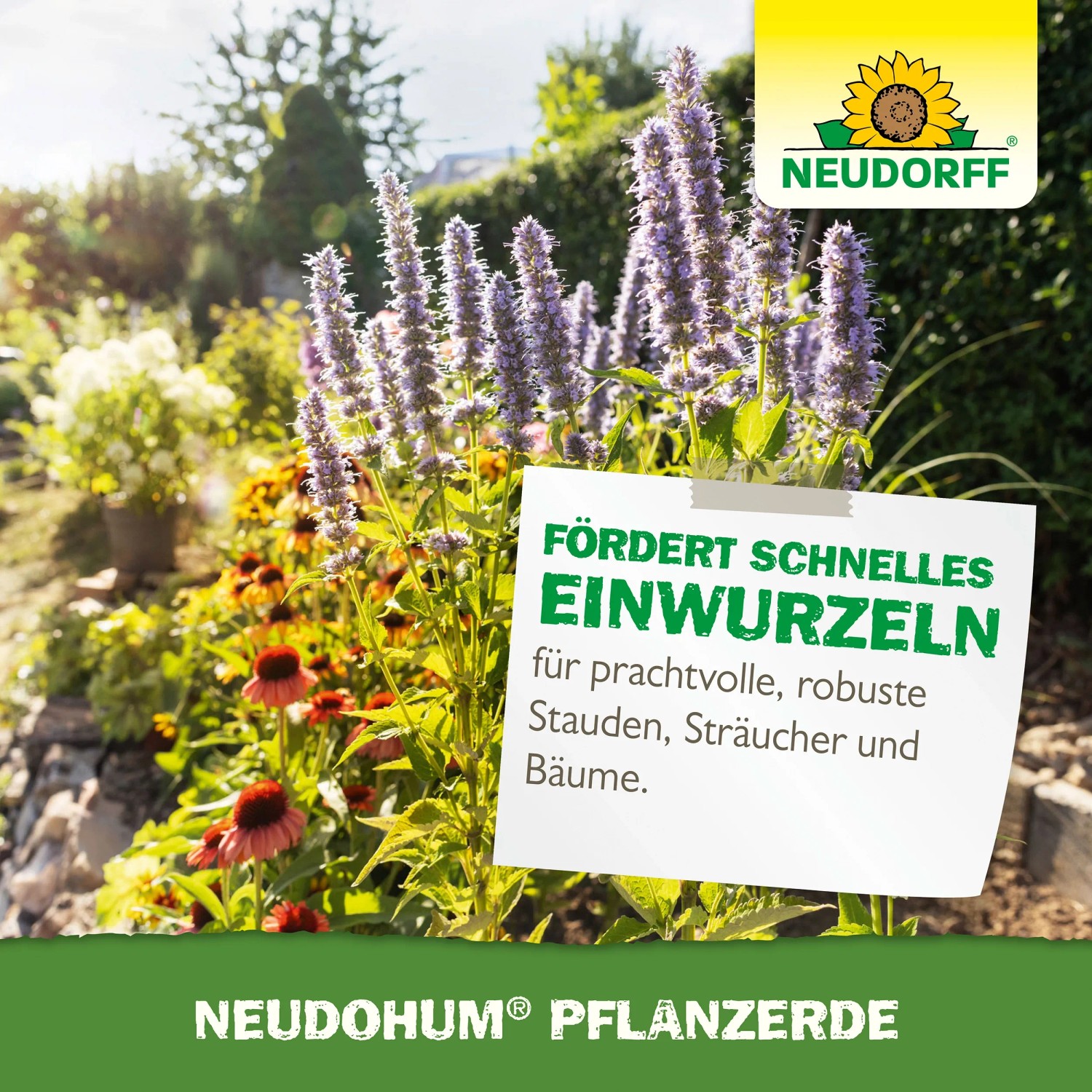 Neudorff NeudoHum Pflanzerde im Garten mit blühenden Pflanzen für schnelles Einwurzeln.