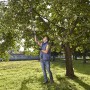 Mann schneidet Äste mit Gardena Strauchschneider StarCut 160 plus im Garten.