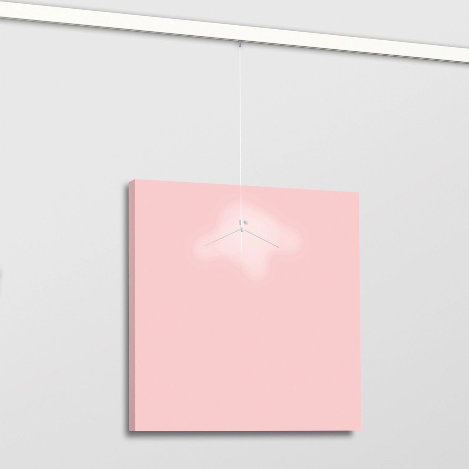 Artiteq Click Rail All-in-One Bildaufhängesystem 2 m Alu mit rosa Bild