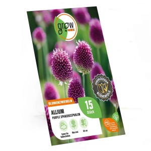 Verpackung Grow by OBI Kugelköpfiger Lauch Purpur, Blumenzwiebeln mit purpurnen Blüten.
