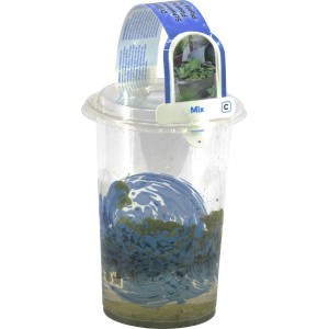 Schwimmpflanzen im Becher Topf-Ø ca. 12 cm