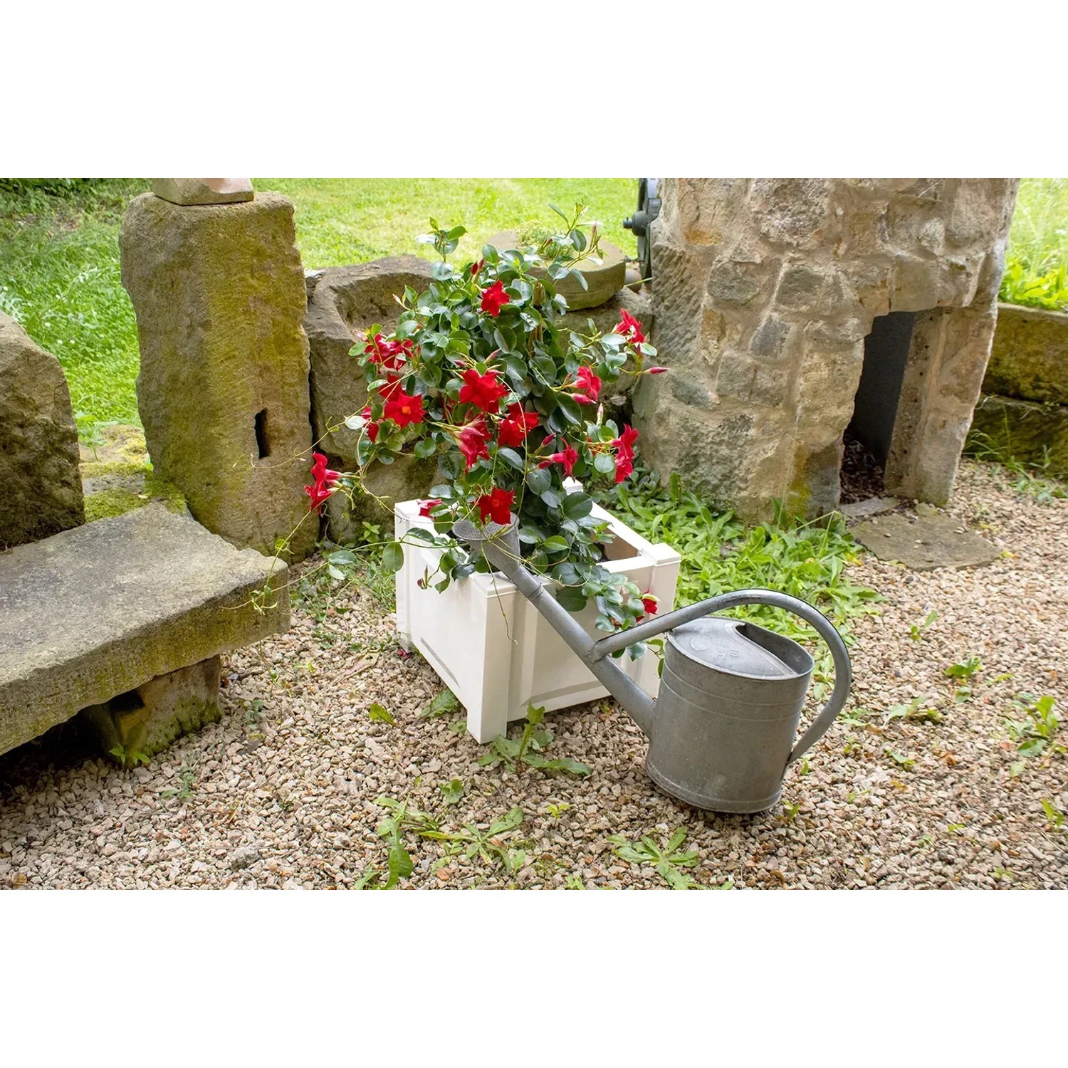 Quadratischer, weißer KHW Pflanzkasten mit roter Pflanze und Gießkanne im Garten.