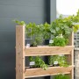 Westmann Kräuterregal Premium L aus Lärchenholz mit Rankgitter, bepflanzt mit Kräutern.