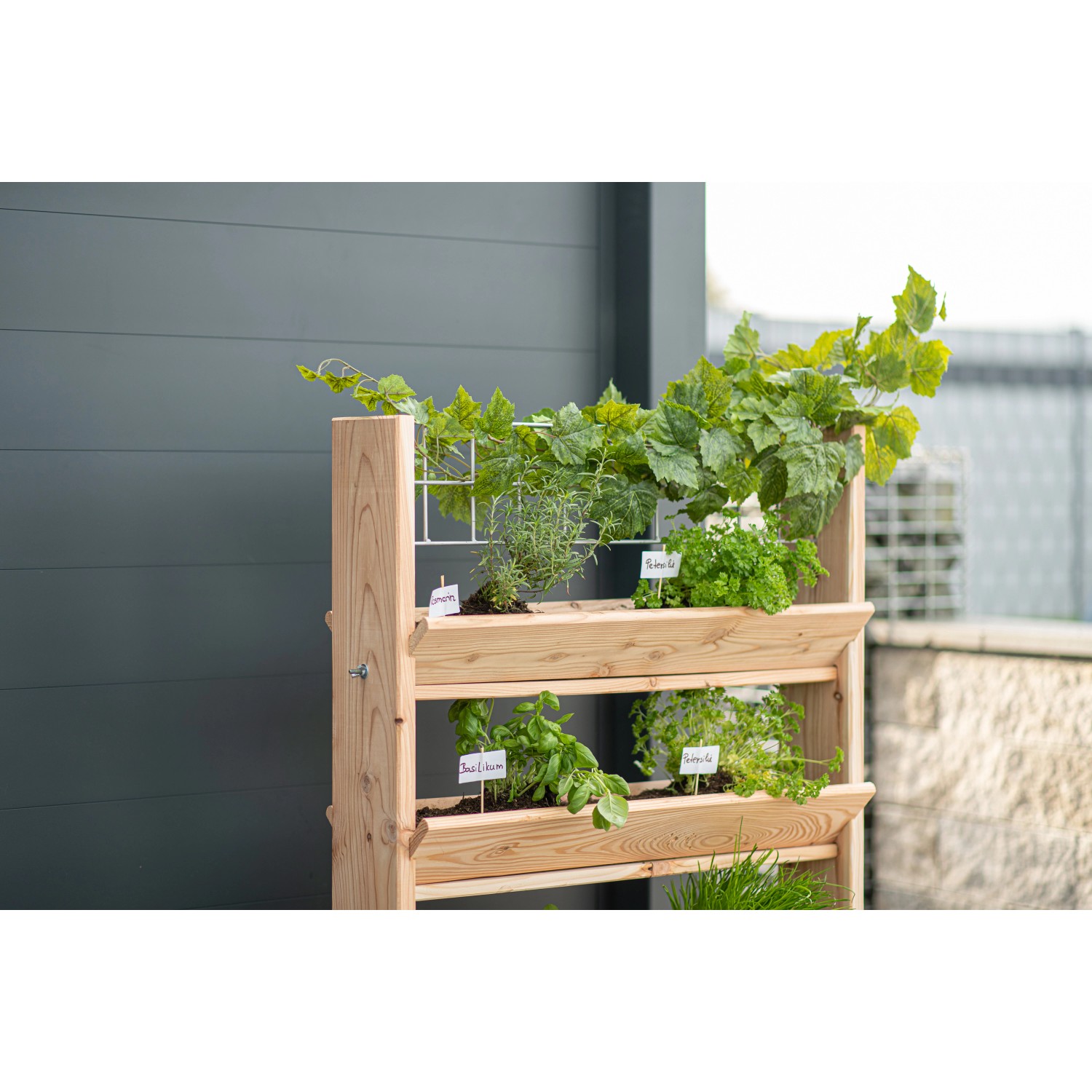 Westmann Kräuterregal Premium L aus Lärchenholz mit Rankgitter, bepflanzt mit Kräutern.