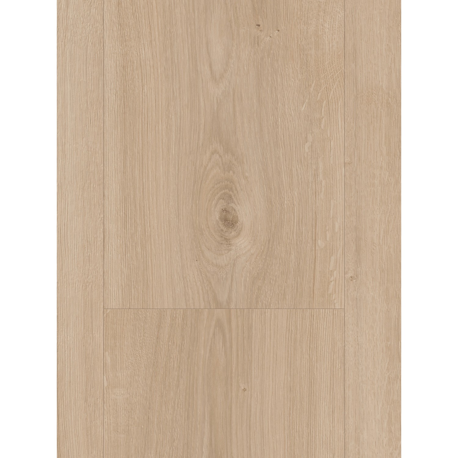 Parador Laminat Basic 600, 8mm, wasserfest, helle Holzoptik für Wohn- und Gewerberäume.