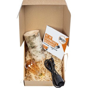 CREATE! by OBI DIY Birkenleuchte als Bausatz in Box mit Birke, Lampe, Kabel und Anleitung.