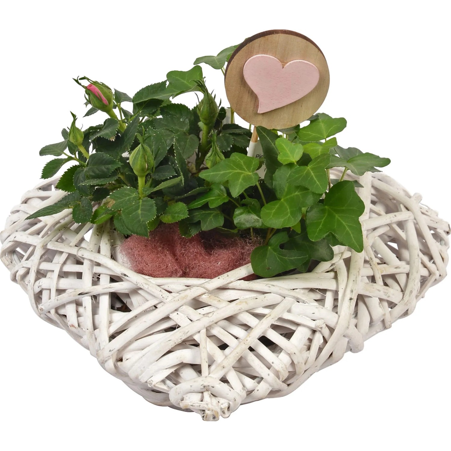 Arrangement in Rattan-Herz Topf- 25 cm kaufen bei OBI