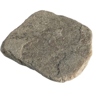 Quarzit-Trittplatte in Grau-Grün, Naturstein für Gartenwege.