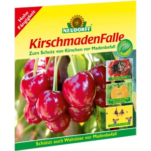 Neudorff Kirschmaden-Falle: Insektizidfreie Leimfalle gegen Kirschfliegen und Madenbefall an Kirschen und Walnüssen.