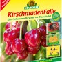 Neudorff Kirschmaden-Falle: Insektizidfreie Leimfalle gegen Kirschfliegen und Madenbefall an Kirschen und Walnüssen.