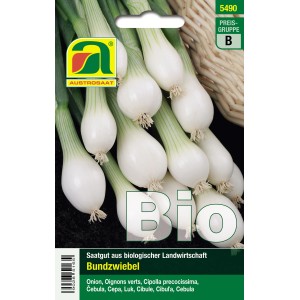 Bio Bundzwiebel Saatgut „Witte van Lissabon“ von Austrosaat: Frische, weiße Zwiebeln mit grünen Stielen.