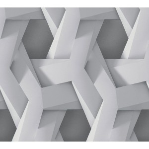 A.S. Création Vliestapete in 3D Betonoptik Grau mit grafischem Muster.