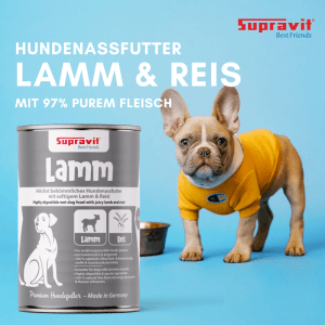 Supravit Hundenassfutter Lamm & Reis Dose, Französische Bulldogge Welpe. Schmackhaftes Nassfutter mit hohem Fleischanteil.