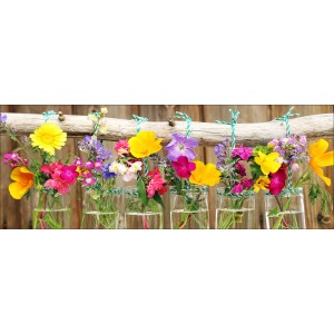 Pro-Art Glasbild Plants in Vases I 50 cm x 125 cm x 1,4 cm