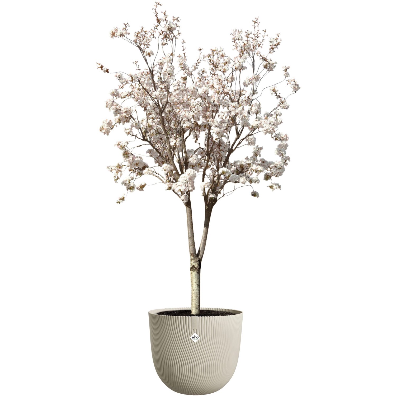 Beiger Elho Blumentopf Sereh (Ø 47 cm) mit blühendem Baum, geeignet für Innen- und Außenbereich.