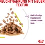 Royal Canin Sensory Smell Katzen-Nassfutter in Soße, appetitliche Stückchen für wählerische Katzen.