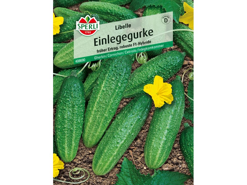 Sperli Einlegegurken "Libelle" F1Hybride kaufen bei OBI