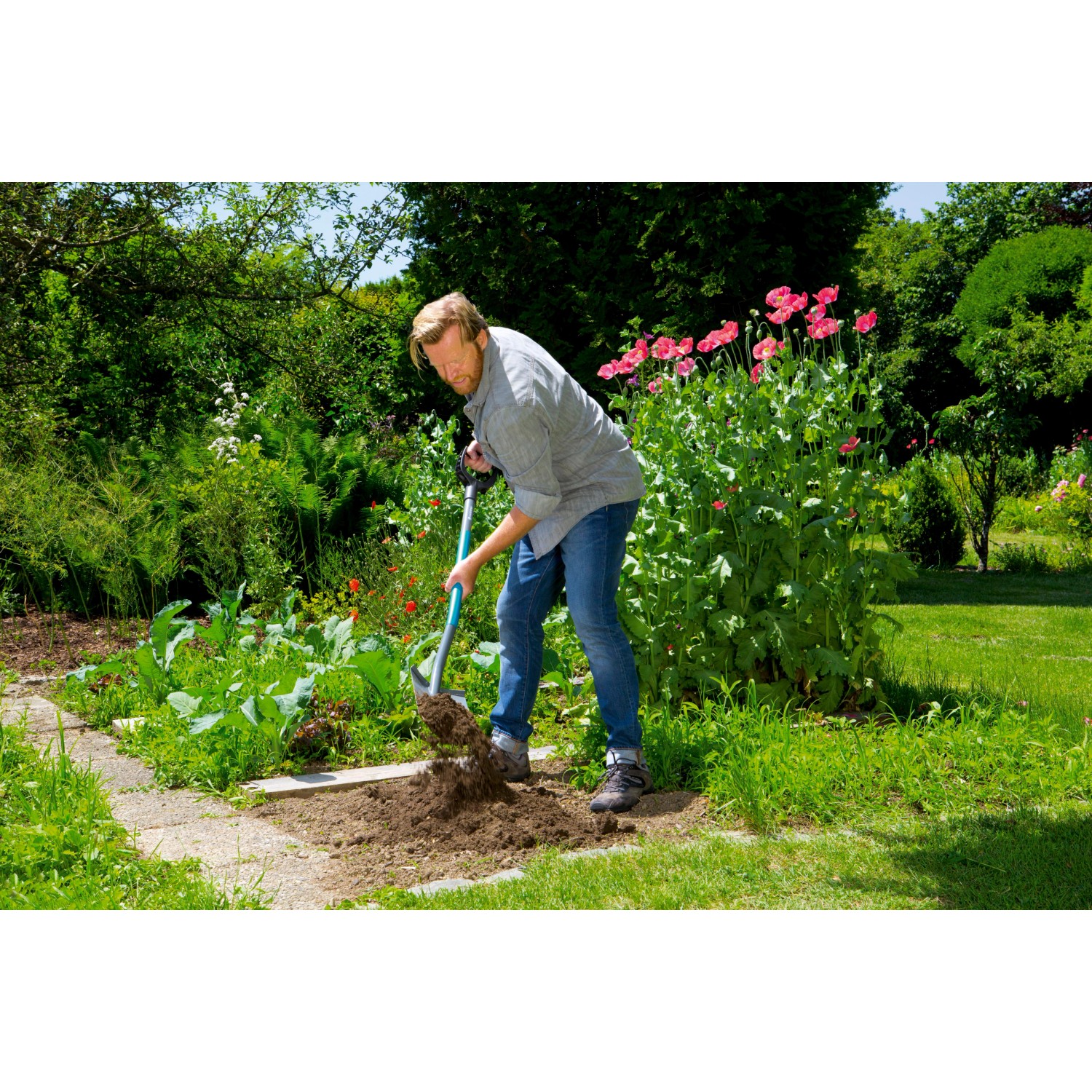 Mann gräbt mit Gardena Spaten ClassicLine im Garten um. Spaten mit D-Griff.