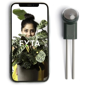 Fyta Beam Pflanzensensor 6 in 1 neben Smartphone mit App-Ansicht einer Zimmerpflanze.