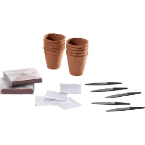 Anzucht-Set Chilli und Paprika