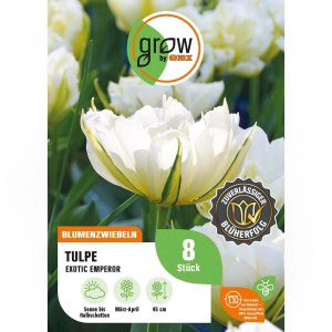 GROW by OBI Tulpe Exotic Emperor, weiß-grüne gefüllte Blüte, 8 Stück. Blumenzwiebeln für den Garten.