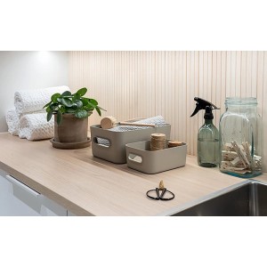 SmartStore Aufbewahrungskörbe Comfort S in Moss, 1,5 l, zur Aufbewahrung im Haushalt.