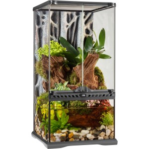 Exo Terra Paludarium, 30x30x60 cm, bepflanztes Aqua-Terrarium für Regenwald- und Sumpf-Umgebungen.