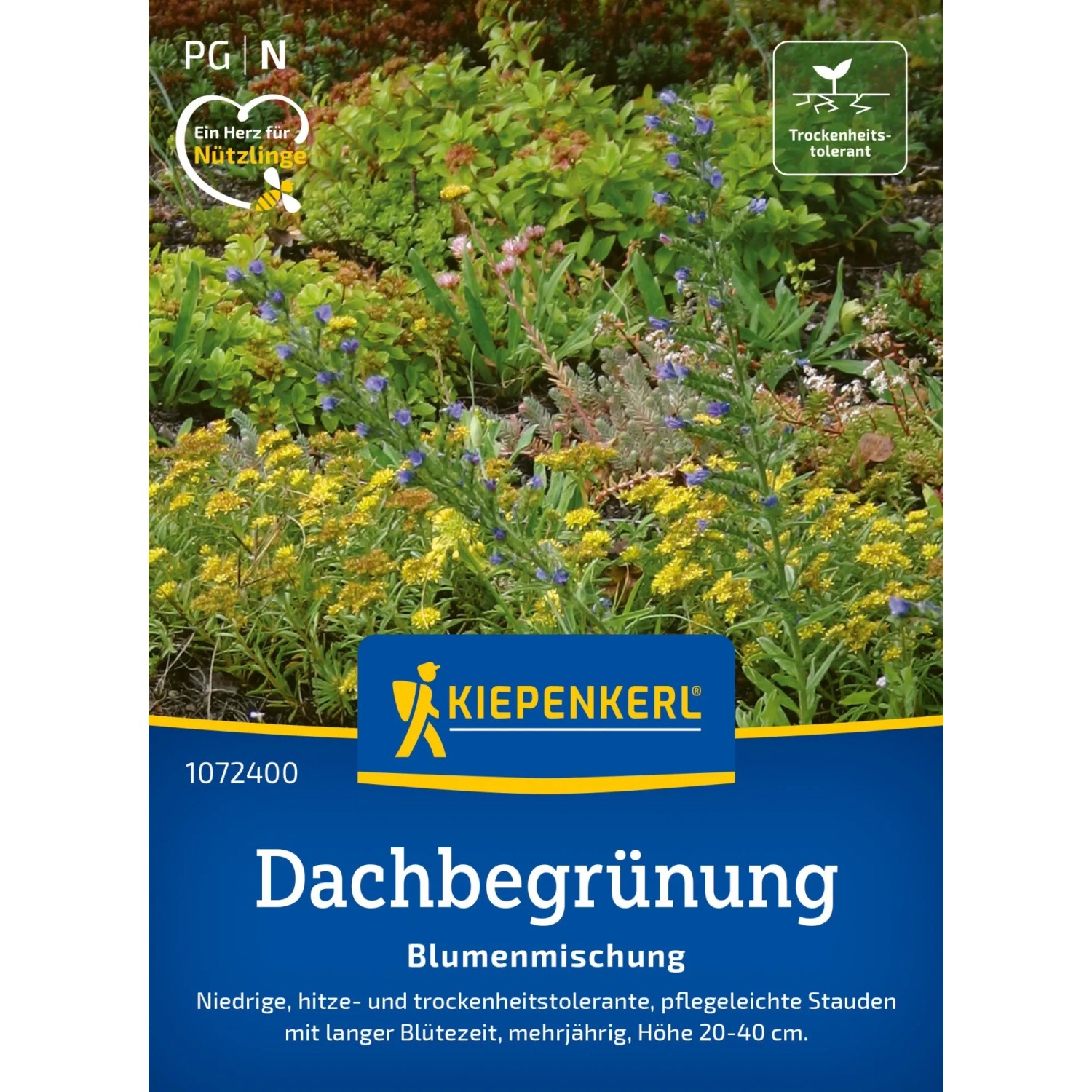 Kiepenkerl Saatgut Blumenmischung Dachbegrnung kaufen bei OBI