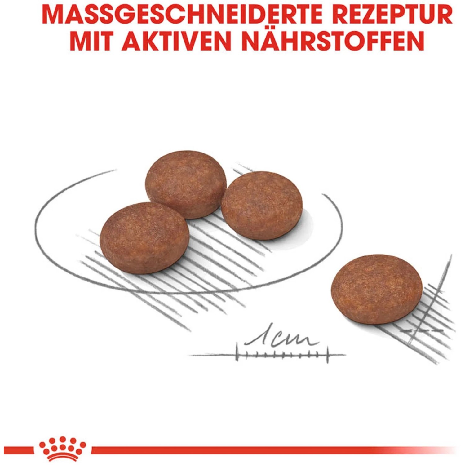 Royal Canin Digestive Care Mini Trockenfutter für Hunde mit empfindlicher Verdauung, Kroketten.