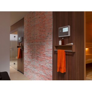 Verblender Quarzit Rot-Bunt 10 cm x 40 cm