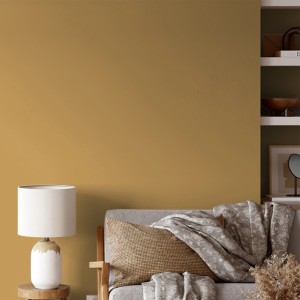 Wand in Gelb (Milder Senf) mit V&CO Premium-Innenfarbe Dead Flat Matt gestrichen.