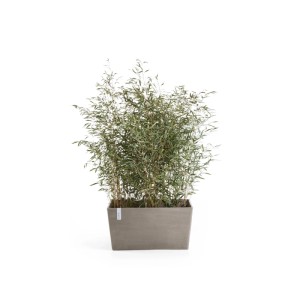 Ecopots Pflanztopf Paris Braungrau 80 cm x 38 cm x 40 cm