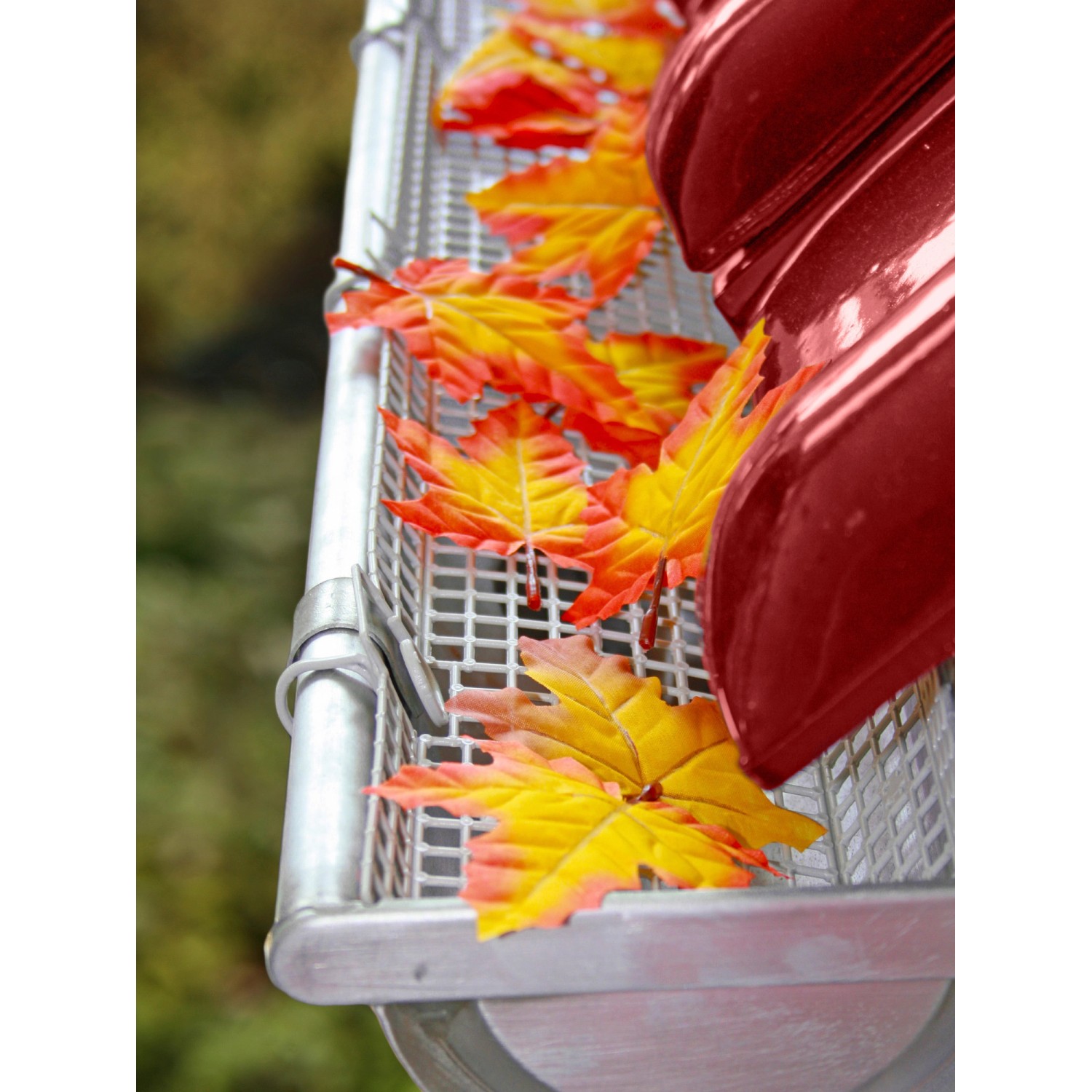 Grauer Sarei Laubstopp aus Polypropylen in einer Dachrinne mit Blättern.