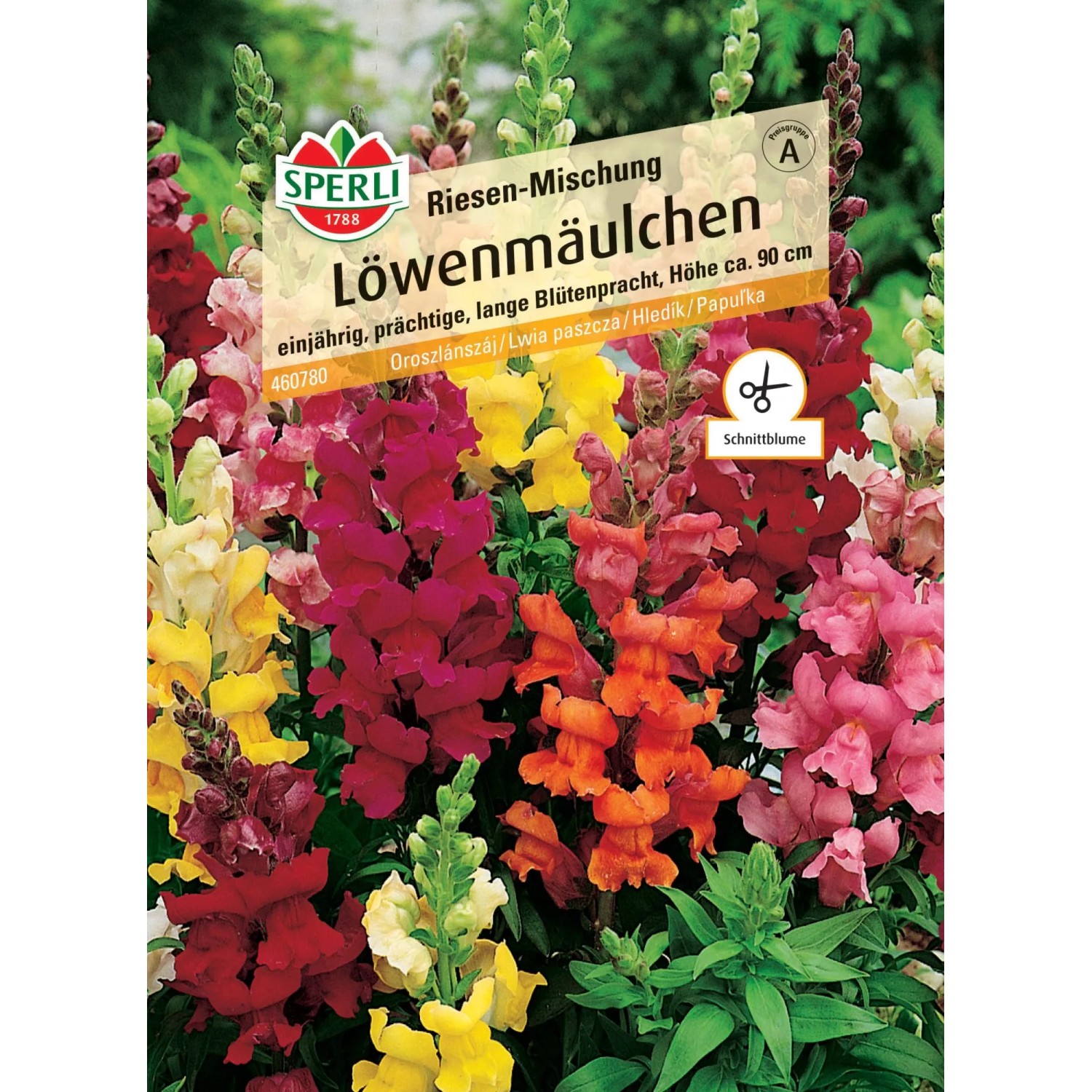 Sperli Saatgut Lwenmulchen Riesen Mischung kaufen bei OBI