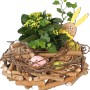 Oster-Arrangement im Nest mit Kalanchoe, Efeu, Deko-Eiern und Hasen, Topf ca. 30 cm.