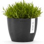 Ecopots Blumentopf Stockholm, dunkelgrau, 16 cm, mit grüner Pflanze. Ideal für drinnen und draußen.