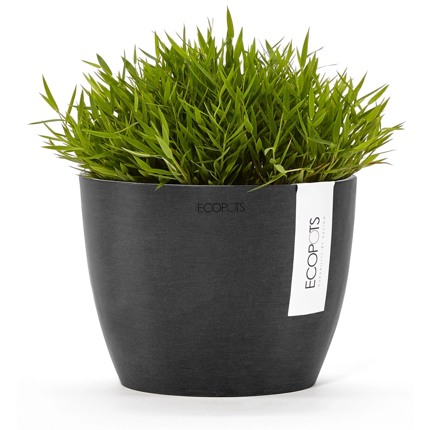 Ecopots Blumentopf Stockholm, dunkelgrau, 16 cm, mit grüner Pflanze. Ideal für drinnen und draußen.