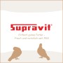 Supravit Logo mit rotem Schriftzug, Slogan und zwei braunen Tauben-Silhouetten. Taubenfutter ohne Weizen.