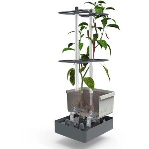 Blaues Gusta Garden Anzuchtgefäß Charly Chili 10L mit Rankhilfe und Chilipflanze.