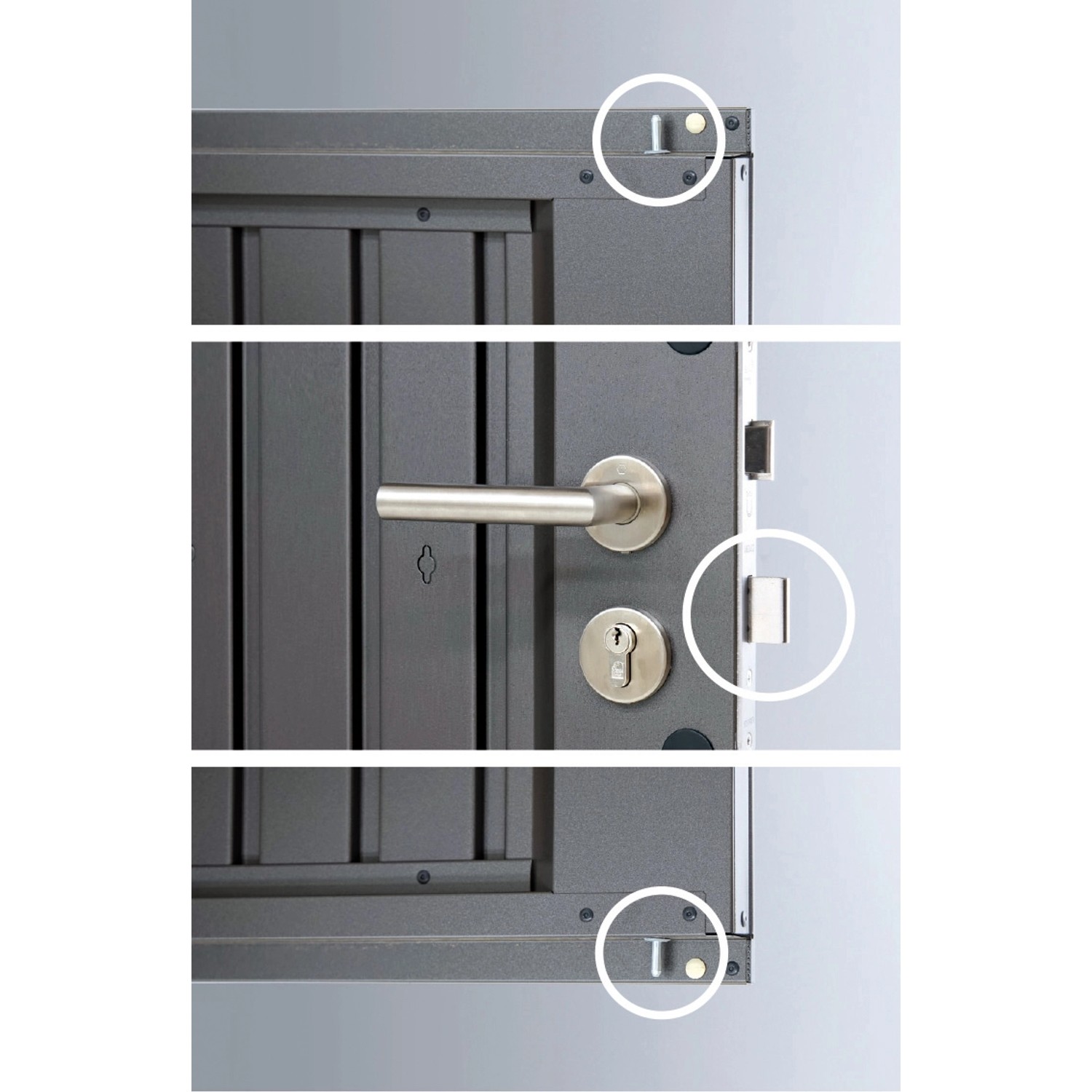 Detailansicht der Tür vom Biohort HighLine Gerätehaus in Quarzgrau-Metallic.